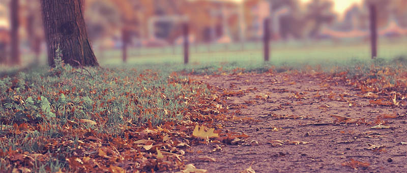 免费轰炸网页版